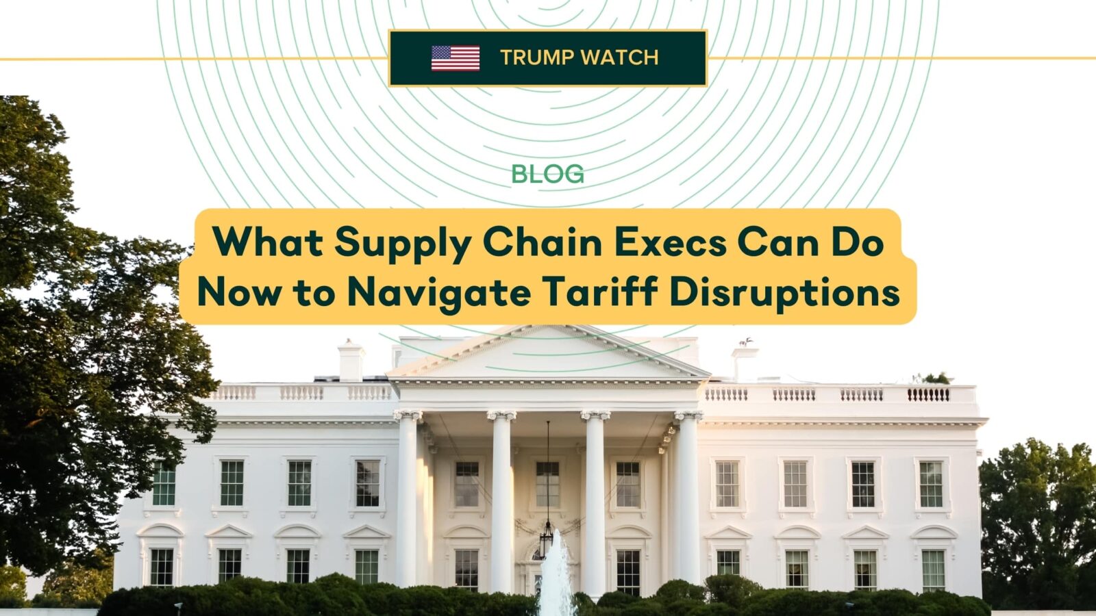 What Supply Chain Execs Can Do Now to Navigate Tariff Disruptions