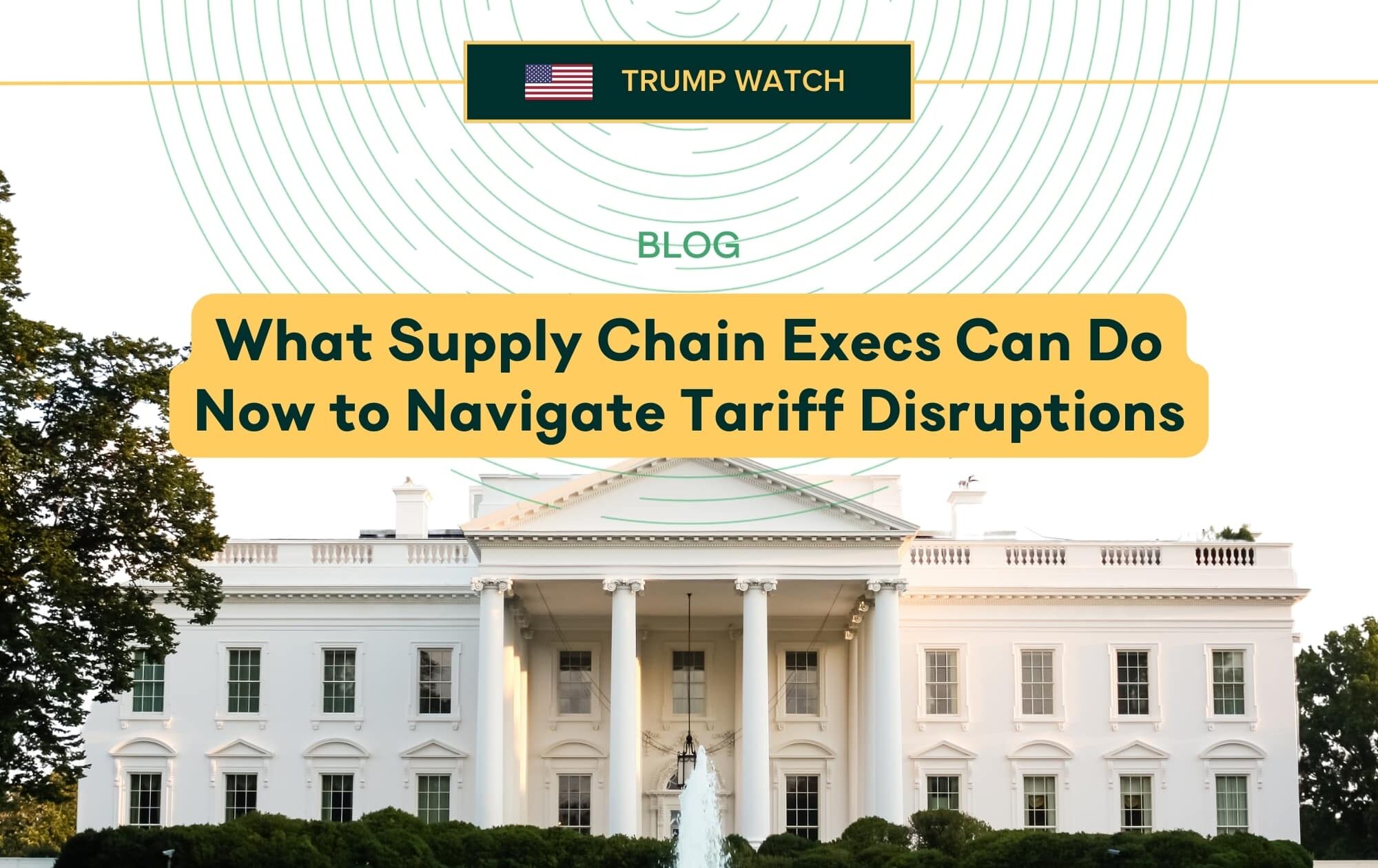 What Supply Chain Execs Can Do Now to Navigate Tariff Disruptions